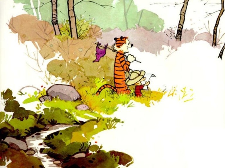 Calvin & Hobbes