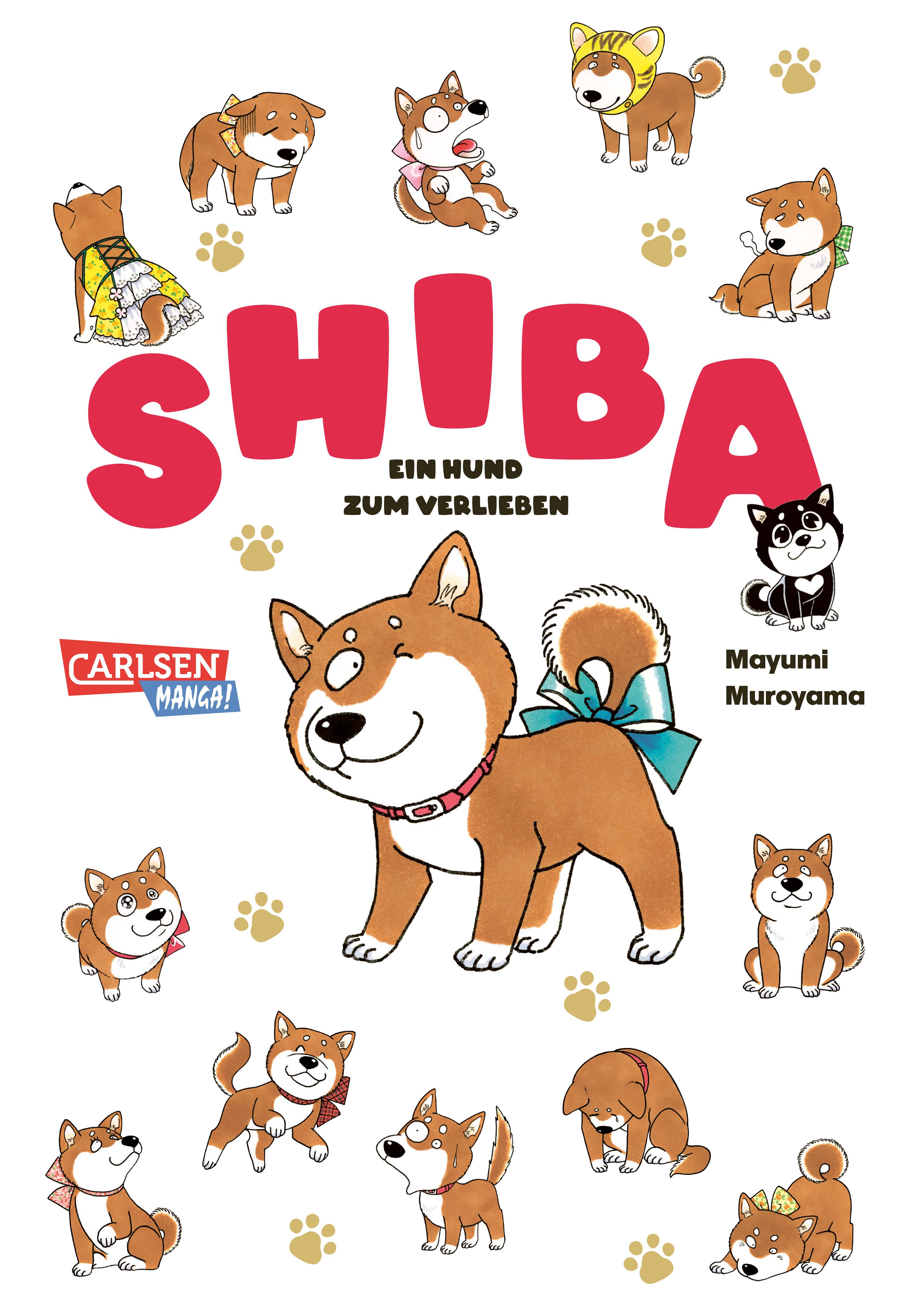 Das Titelbild von Shiba - Ein Hund zum Verlieben