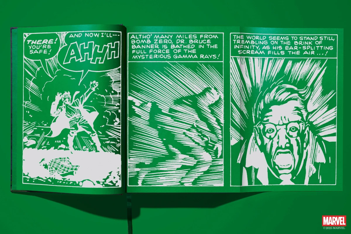 Marvel Comics Library: Hulk Leseprobe