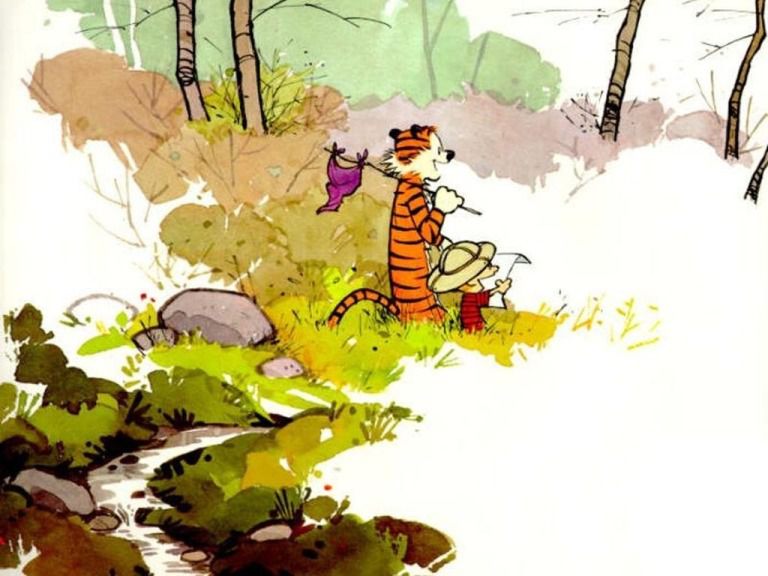 Calvin &amp; Hobbes