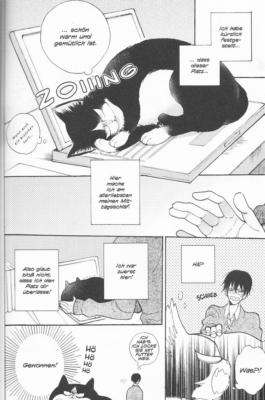 Die Katze hält den Autor von der Arbeit ab.